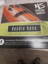D'Addario NS Electric