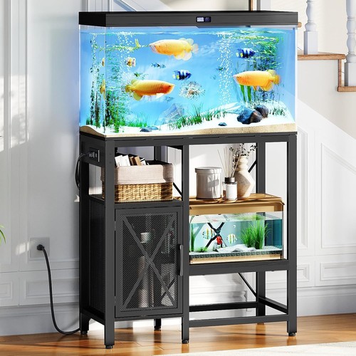 Mahancris gallon fish - mahancris, 20-37