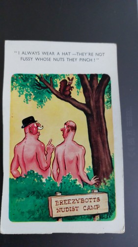 Vintage saucy postcard comic - vintage,