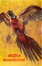 Western Winchester Pheasant