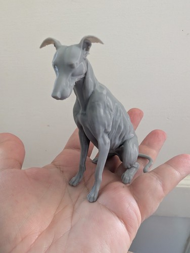 Greyhound lurcher whippet dog - greyhound,