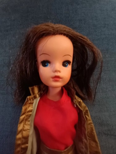 Vintage sindy doll brunette - vintage,