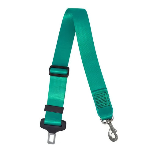 Teal dog seat - dog, lead