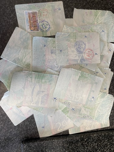 Unused passport visa pages - unused, x2