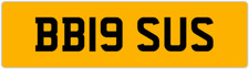 Big sue reg susan susi - sue,