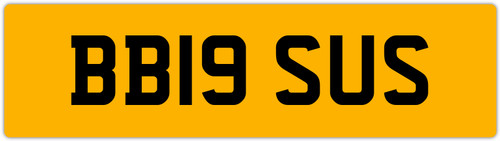 Big sue reg - reg, susan