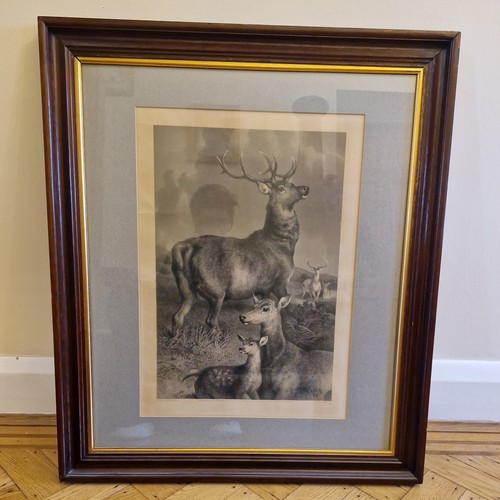 Edward landseer original - edward,