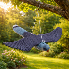 Decoy Hawk Garden Falcon Bird