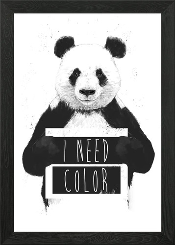 Need color framed wall - i,