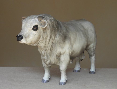Custom breyer - cm/custom,