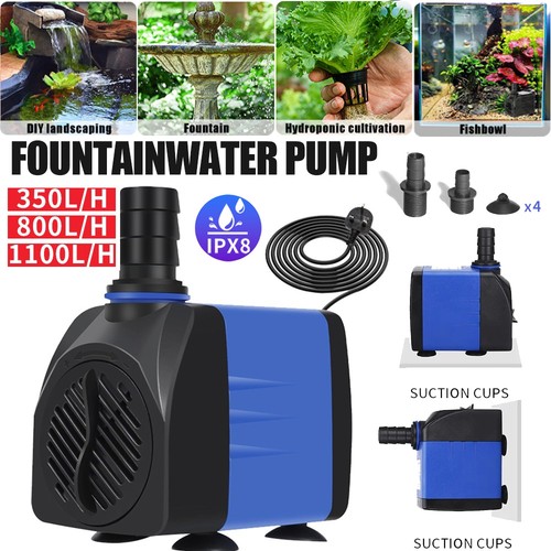 Fish pond tank water - fish,