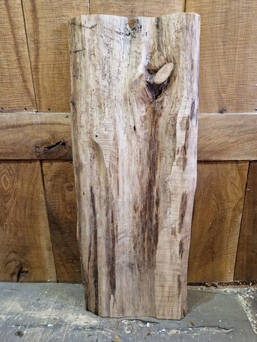 Cedar slab wood - slab, live