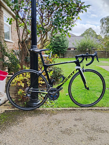 Giant tcr advanced ultegra - giant, m/l