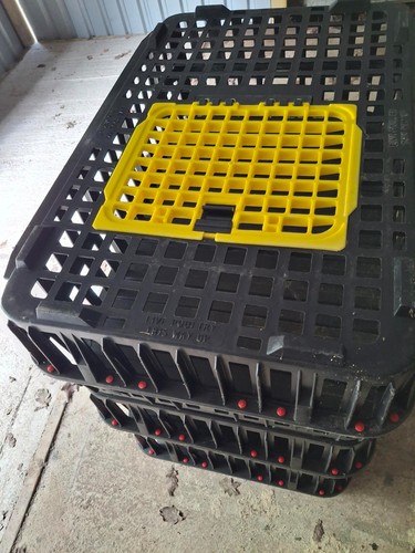 Large poultry transport crate - poultry,