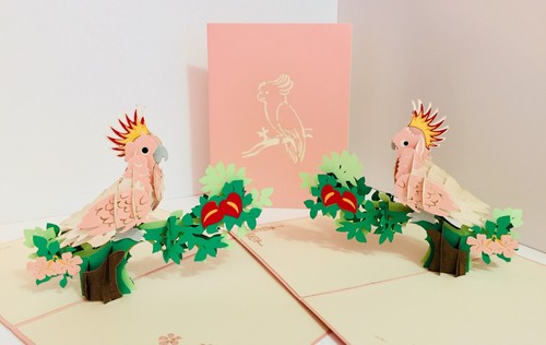 Origami pop cards - origami,