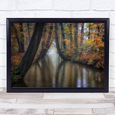 autumn Tree River Leaf Leaves