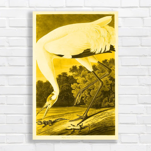 Majestic heron wildlife yellow - majestic,