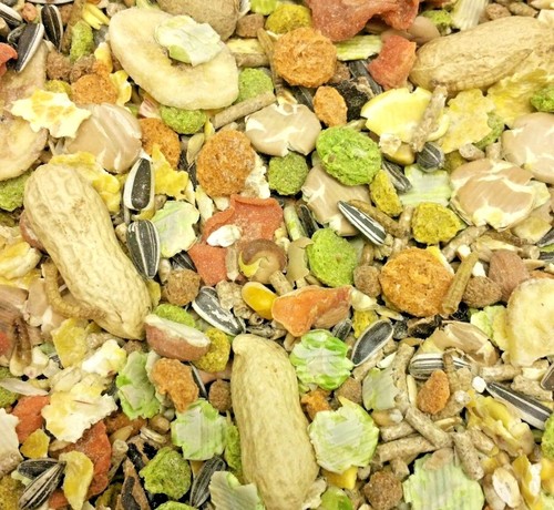 Supreme hamster gerbil mix - hamster,