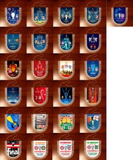 Pennants Football Champions