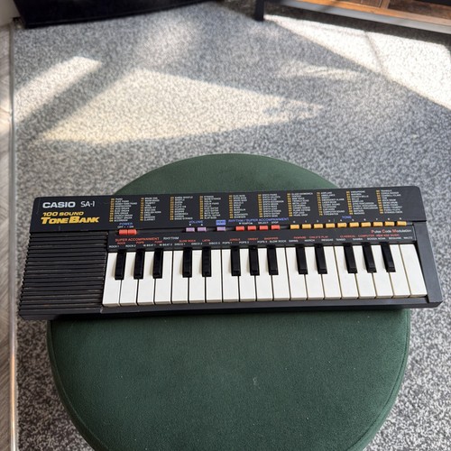 Casio 100 tone - 100,