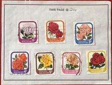 ROSES FLOWERS NEW ZEALAND