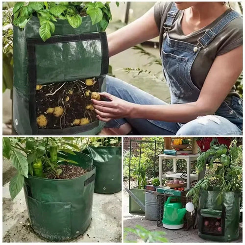Plant grow bags - grow,