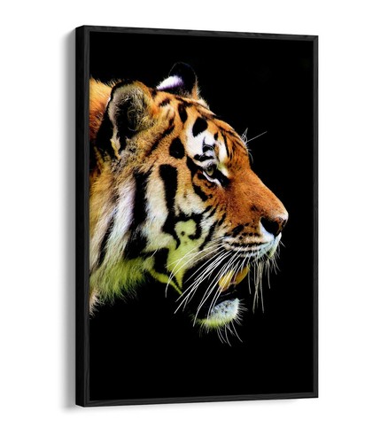 Tiger head float effect - head, -float