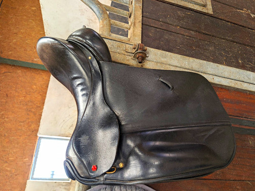Albion mw dressage - albion,