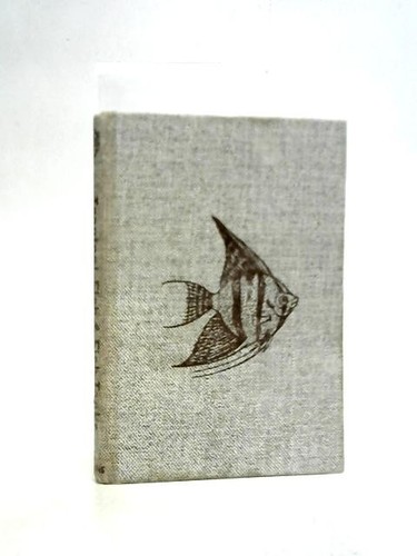 Collins nutshell book - nutshell, 49