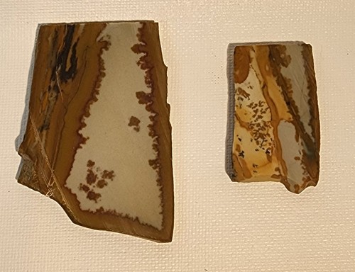 Owyhee picture jasper 2 - owyhee,
