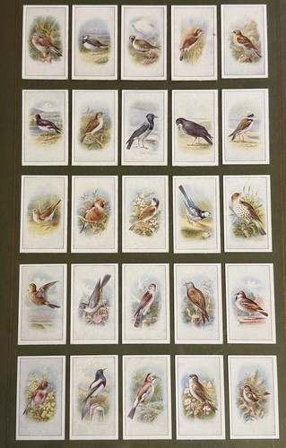 Framed vintage carroll birds - framed,