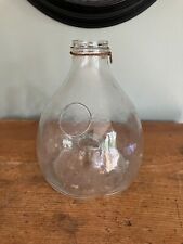 Victorian Glass Wasp Catcher