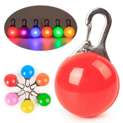Led dog collar safety - dog,
