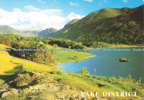 D263904 lake district salmon - j,