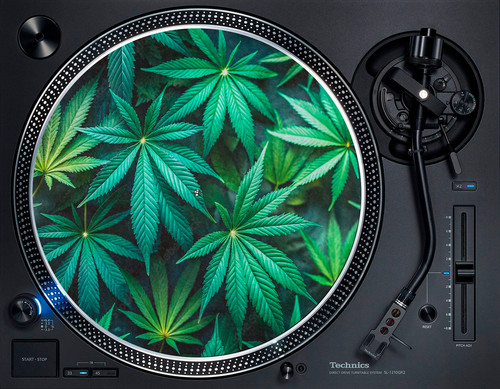 Marijuana weed plant leafs - marijuana,