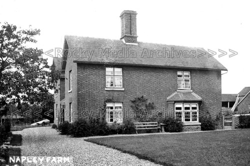 Azw napley farm market - napley,