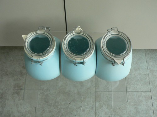 Nigella lawson duck egg blue - nigella,