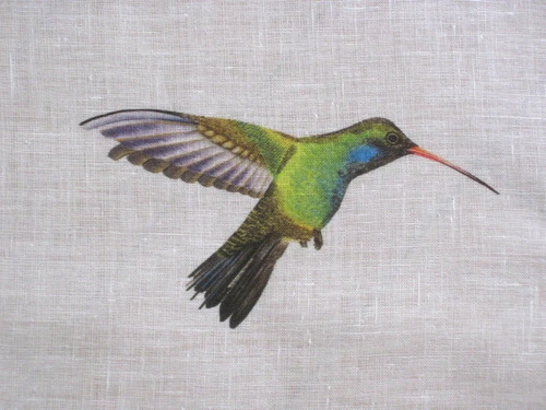 Harlequin curtain fabric - curtain,