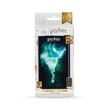Official Harry Potter Light-Up