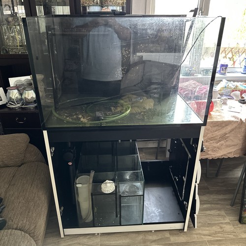 Red sea reefer 300xl leaks - sea, no