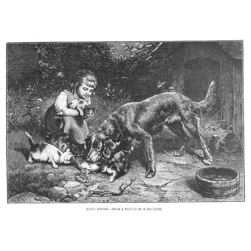 Carl reichert early - reichert, for