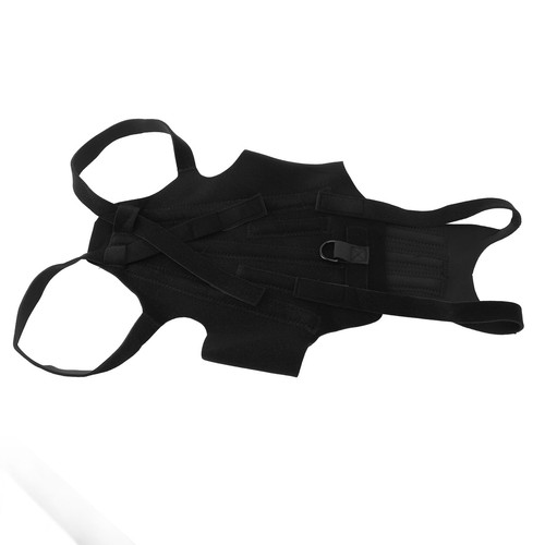 Dog back brace - dog,