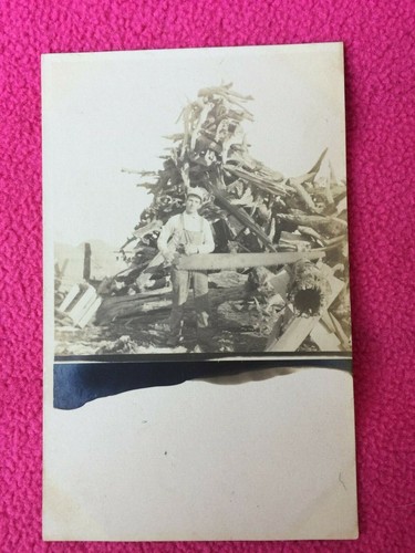 Big rewood trees antique rppc - big,
