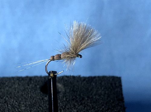 Dry fly olive - fly, foam
