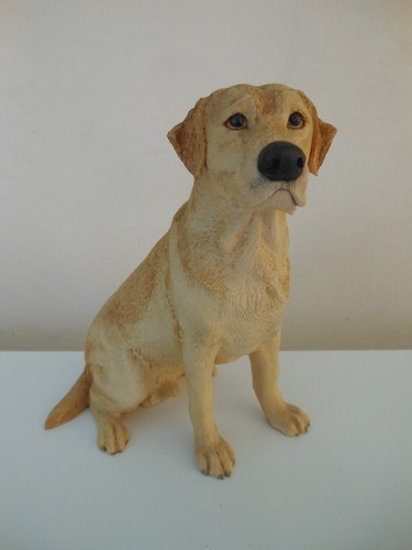 Border fine arts labrador - fine,