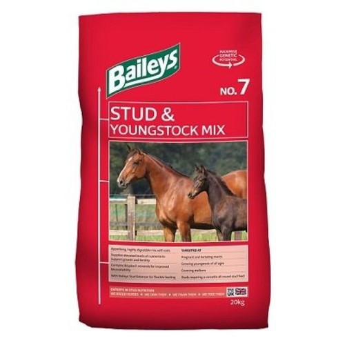 Baileys stud youngstock - baileys, 7
