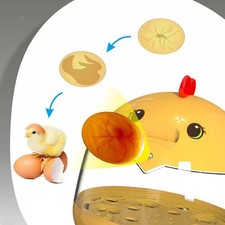 Poultry Hatcher Partridge with Lights Birds Duck Automatic Egg Incubator