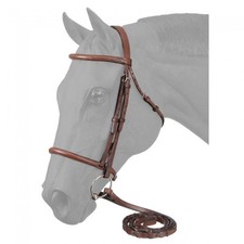 Equiroyal Lt. Chestnut Horse