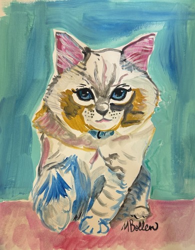Ragdoll kitten original - ragdoll,