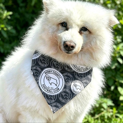 Derby county dog - bandana,, dcfc